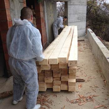 Bios Wood Ignifug 10kg
